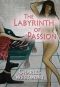 [The Labyrinth of Passion 01] • The Labyrinth of Passion (Romantic Experiences)